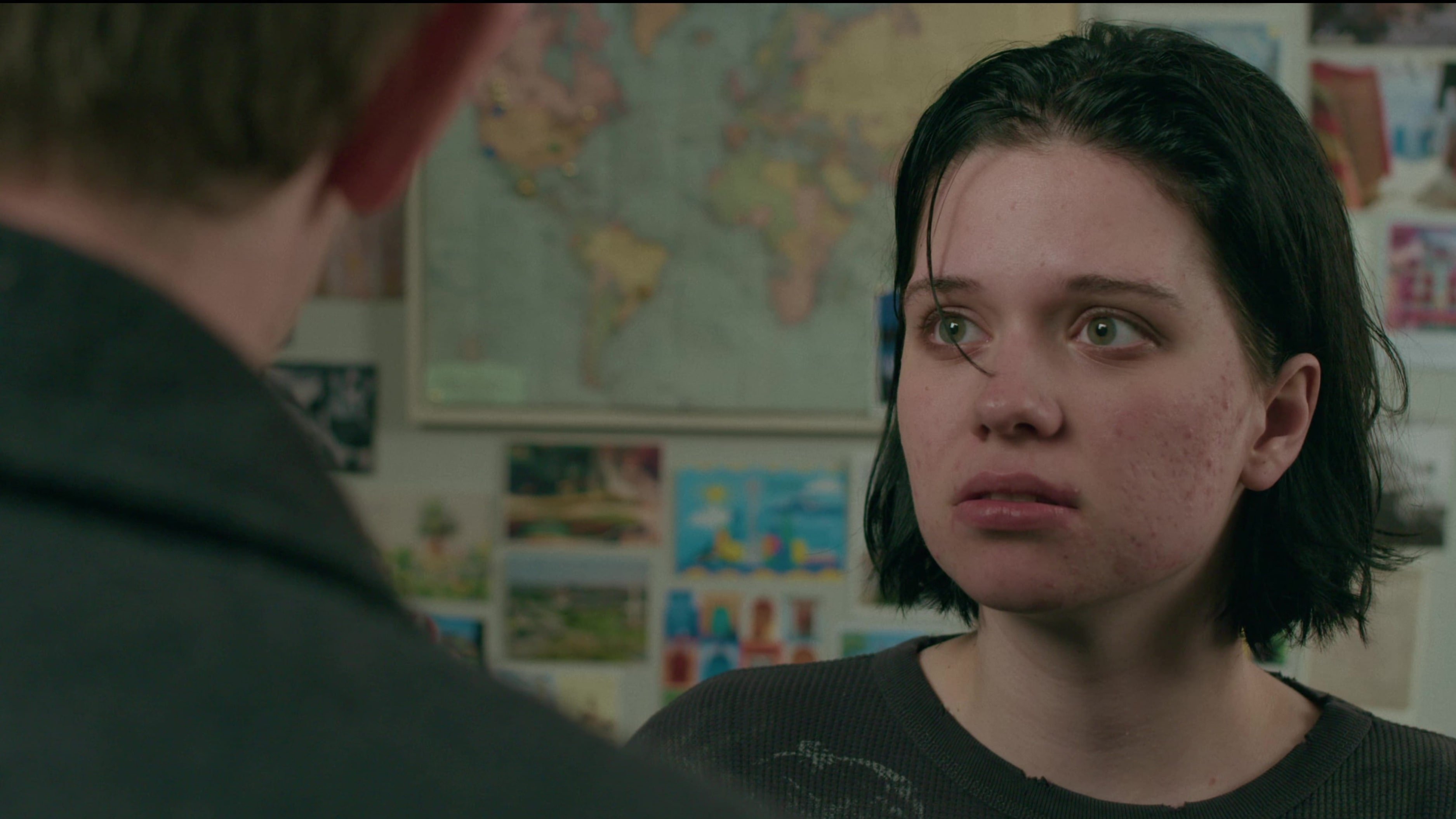 Spider in the Cupboard Background