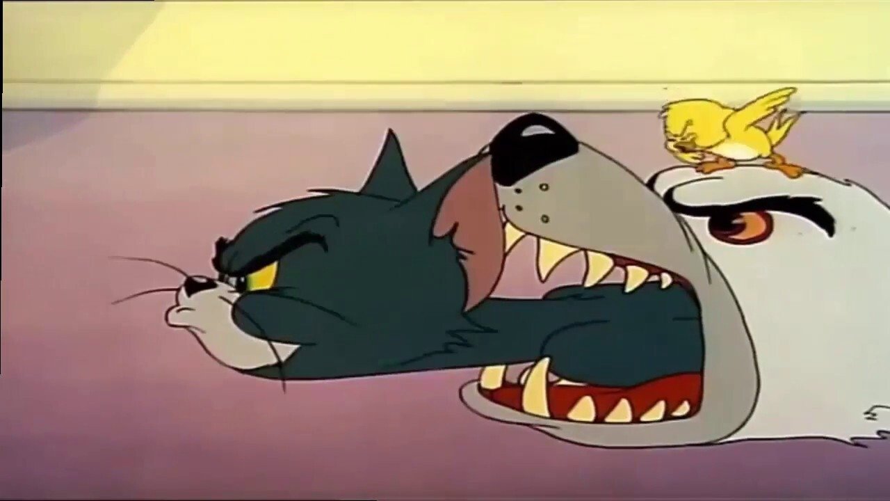 Kitty Foiled Background