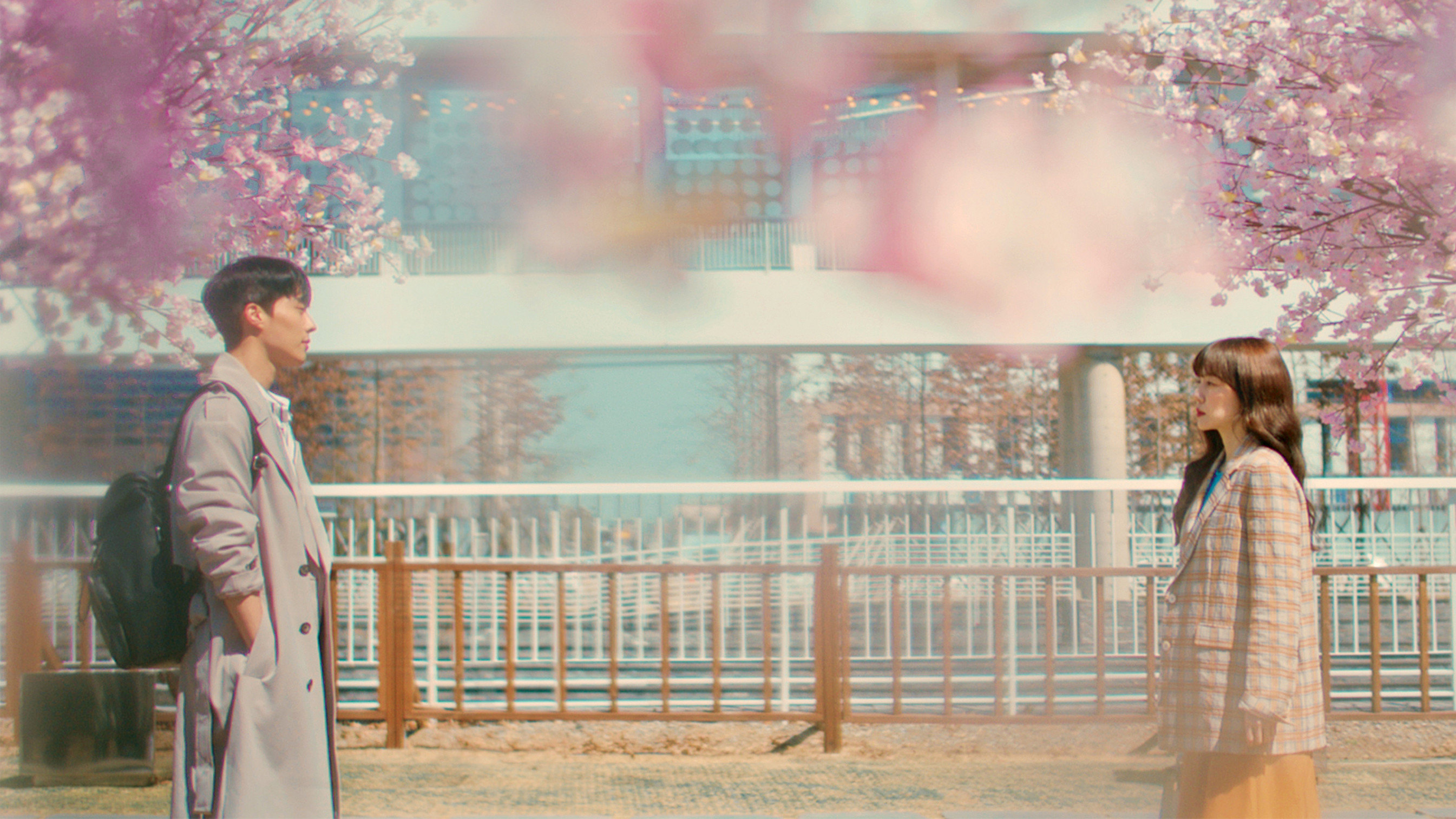 Search: WWW Background