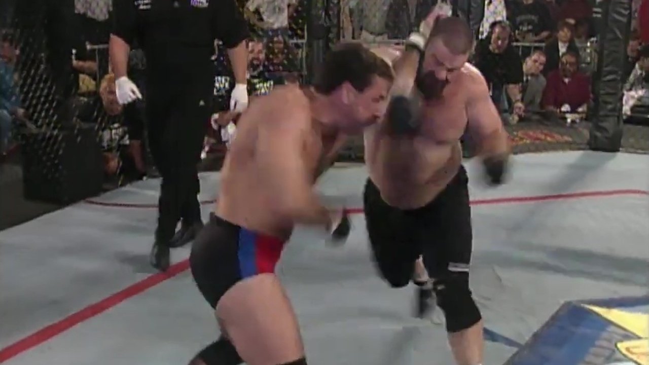 UFC 11.5: Ultimate Ultimate 2 Background