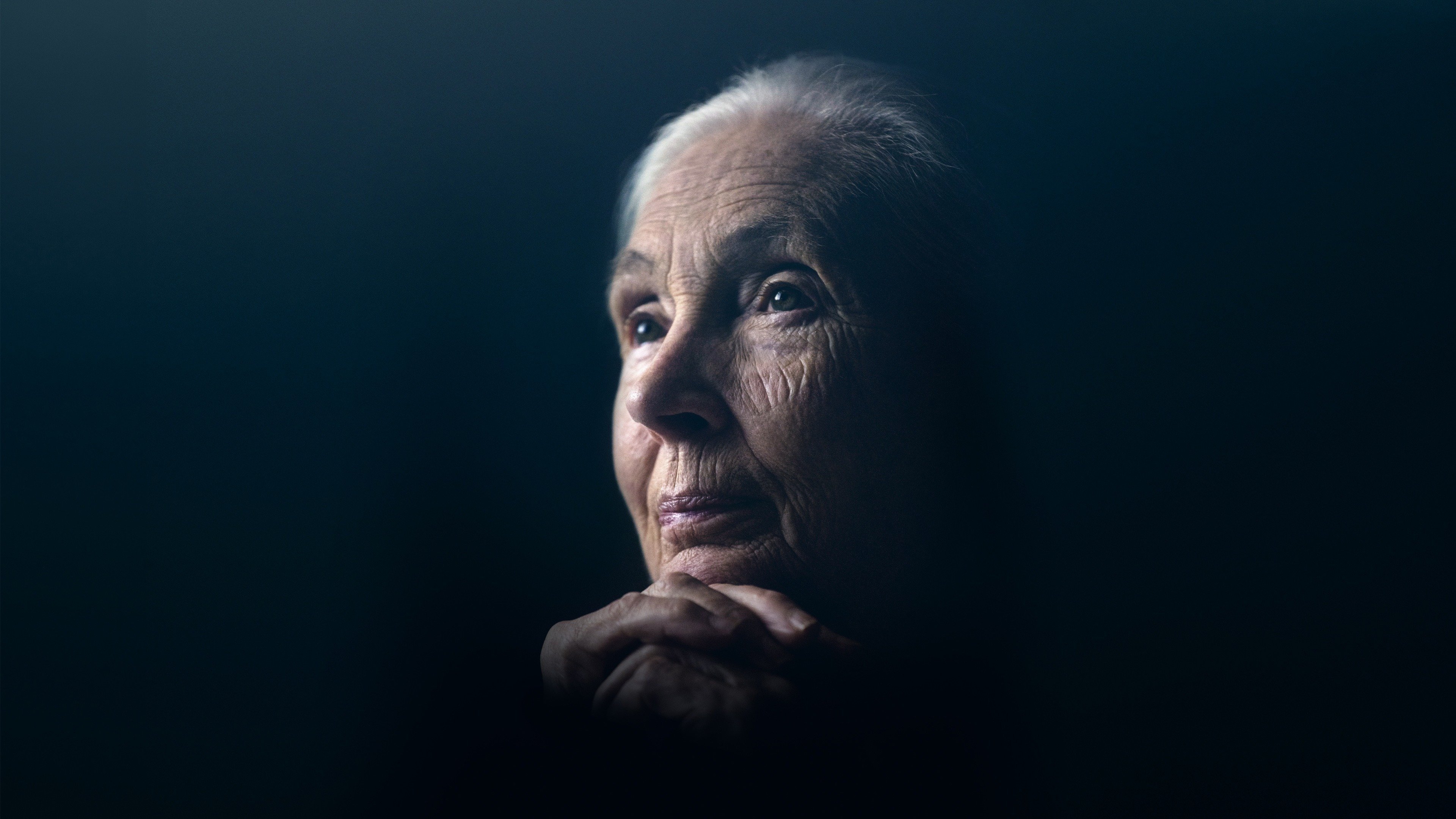 Jane Goodall: The Hope Background