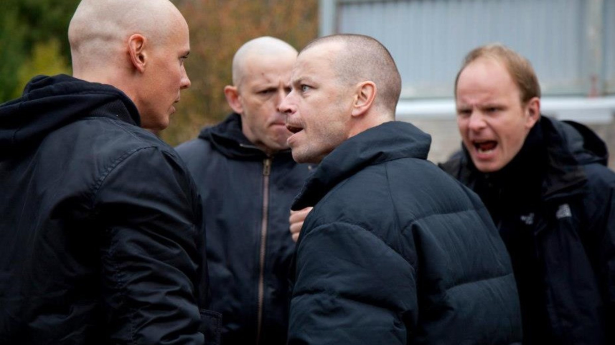 Heart of a Lion Background