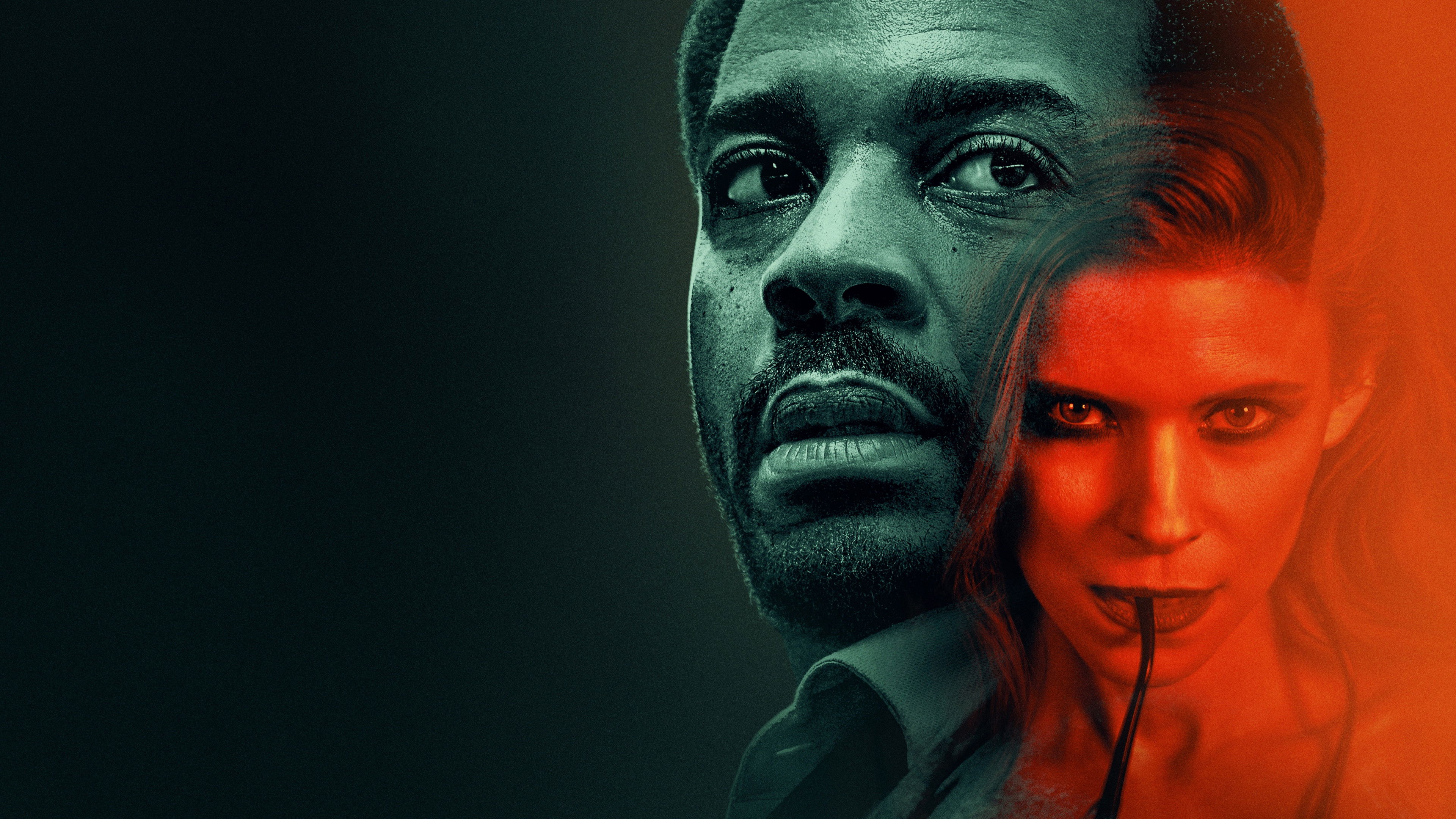 The Dutchman Background