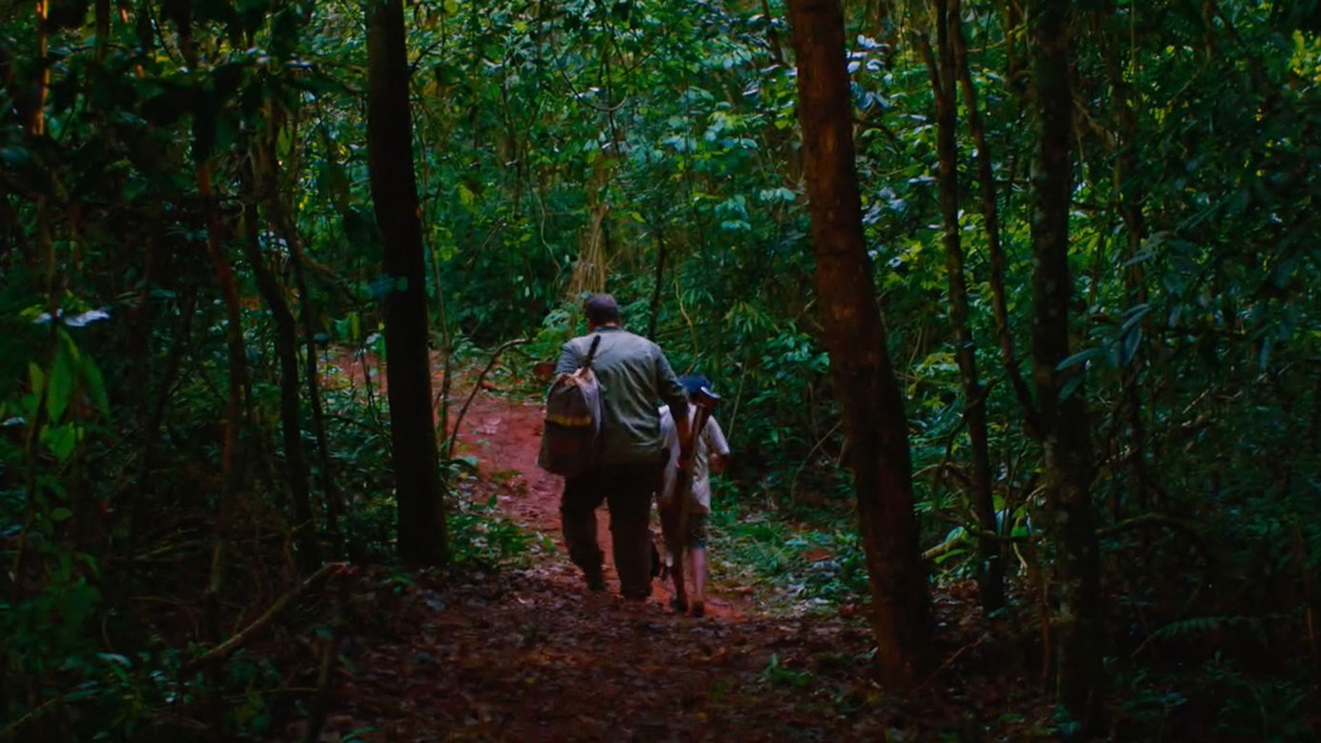 El silencio del cazador Background