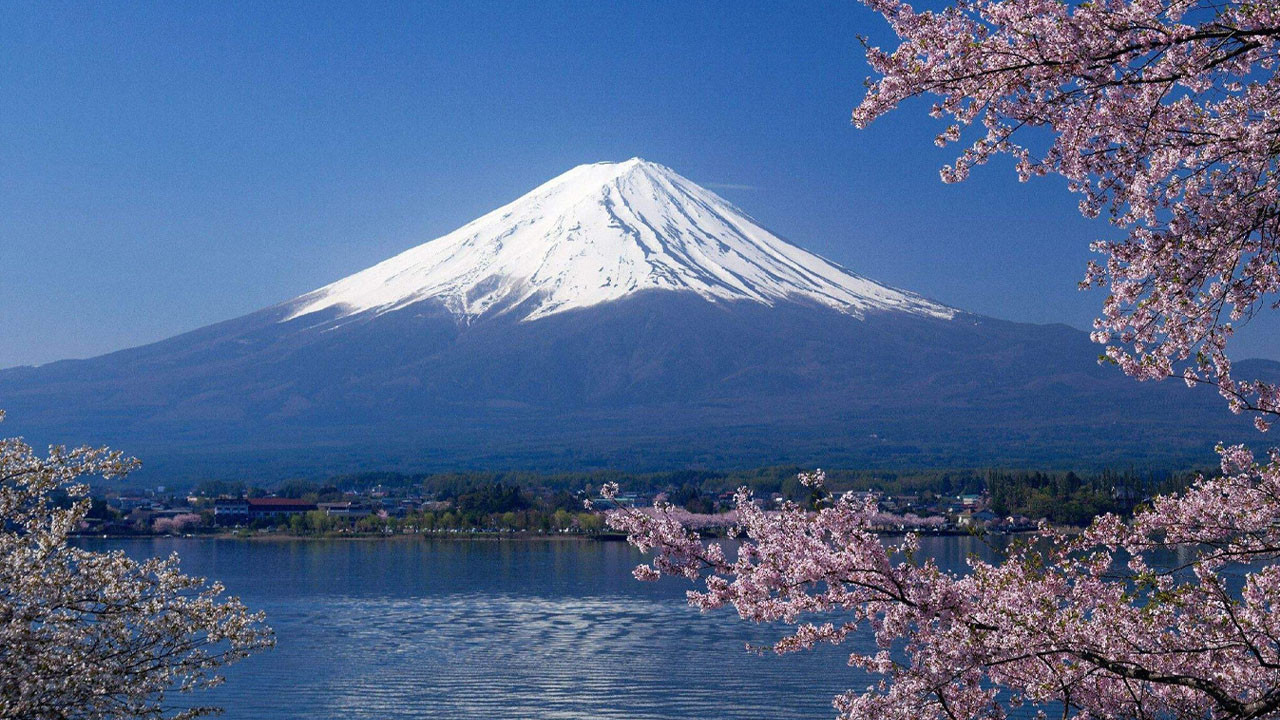 Professional: Shigoto no ryûgi Background