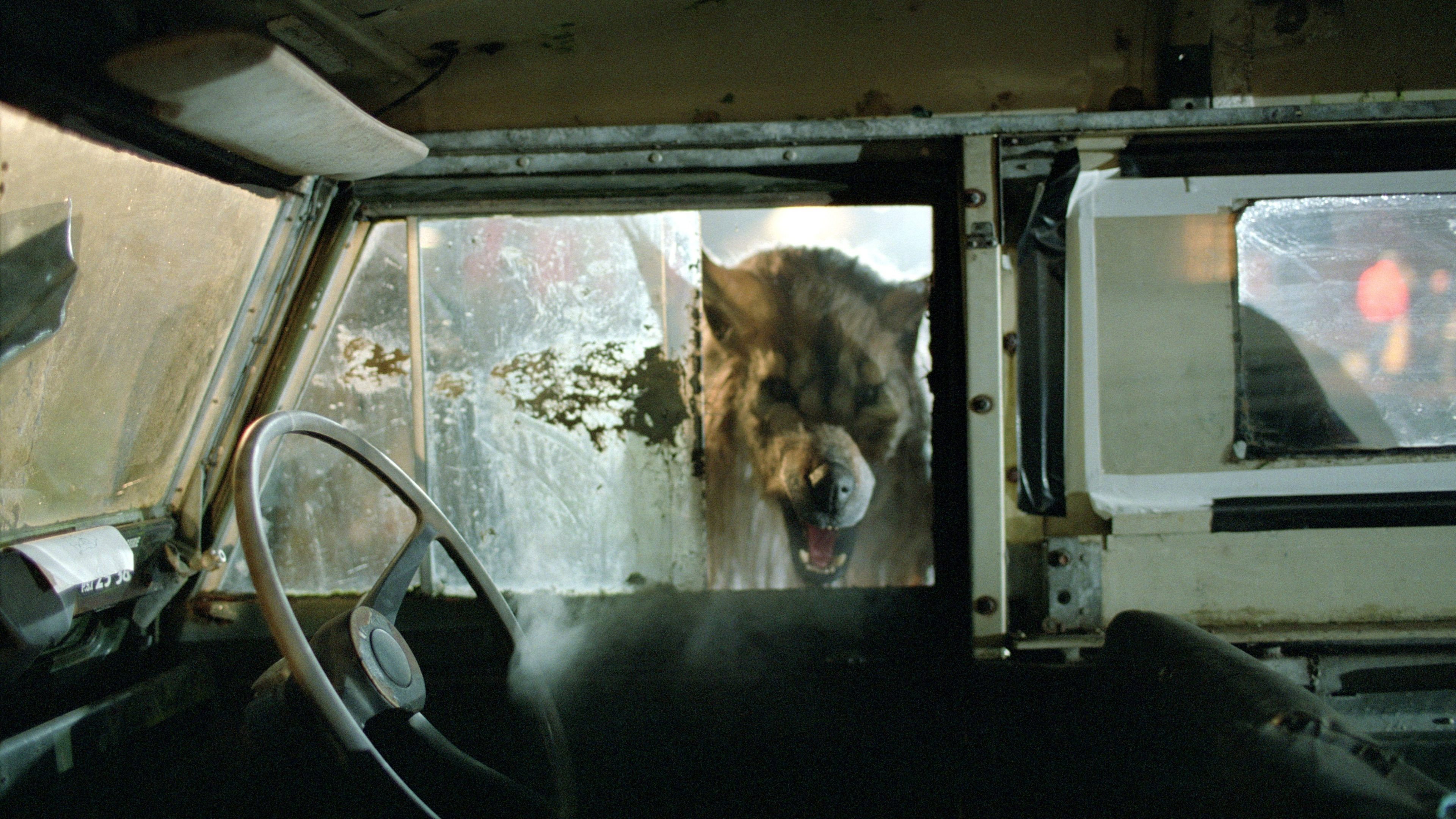 Dog Soldiers Background