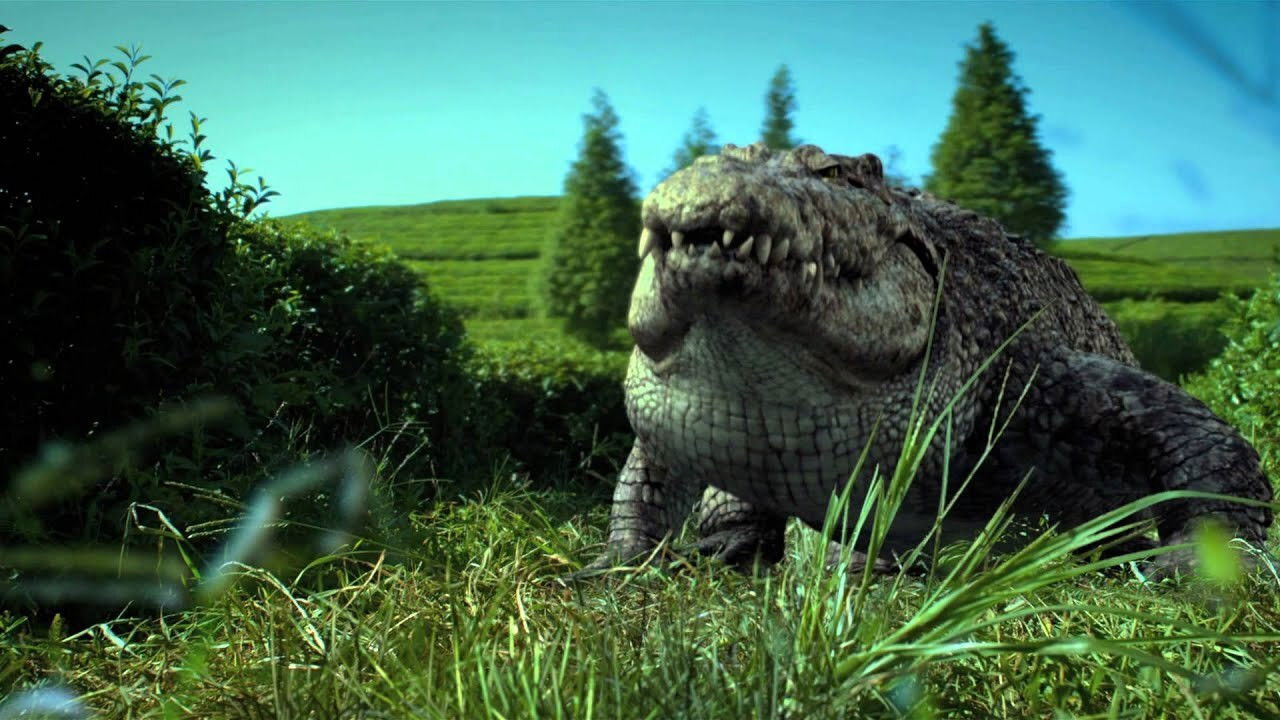 Million Dollar Crocodile Background