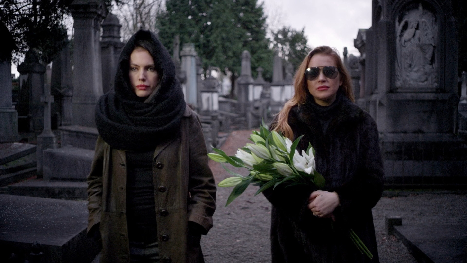 Among the Shadows Background