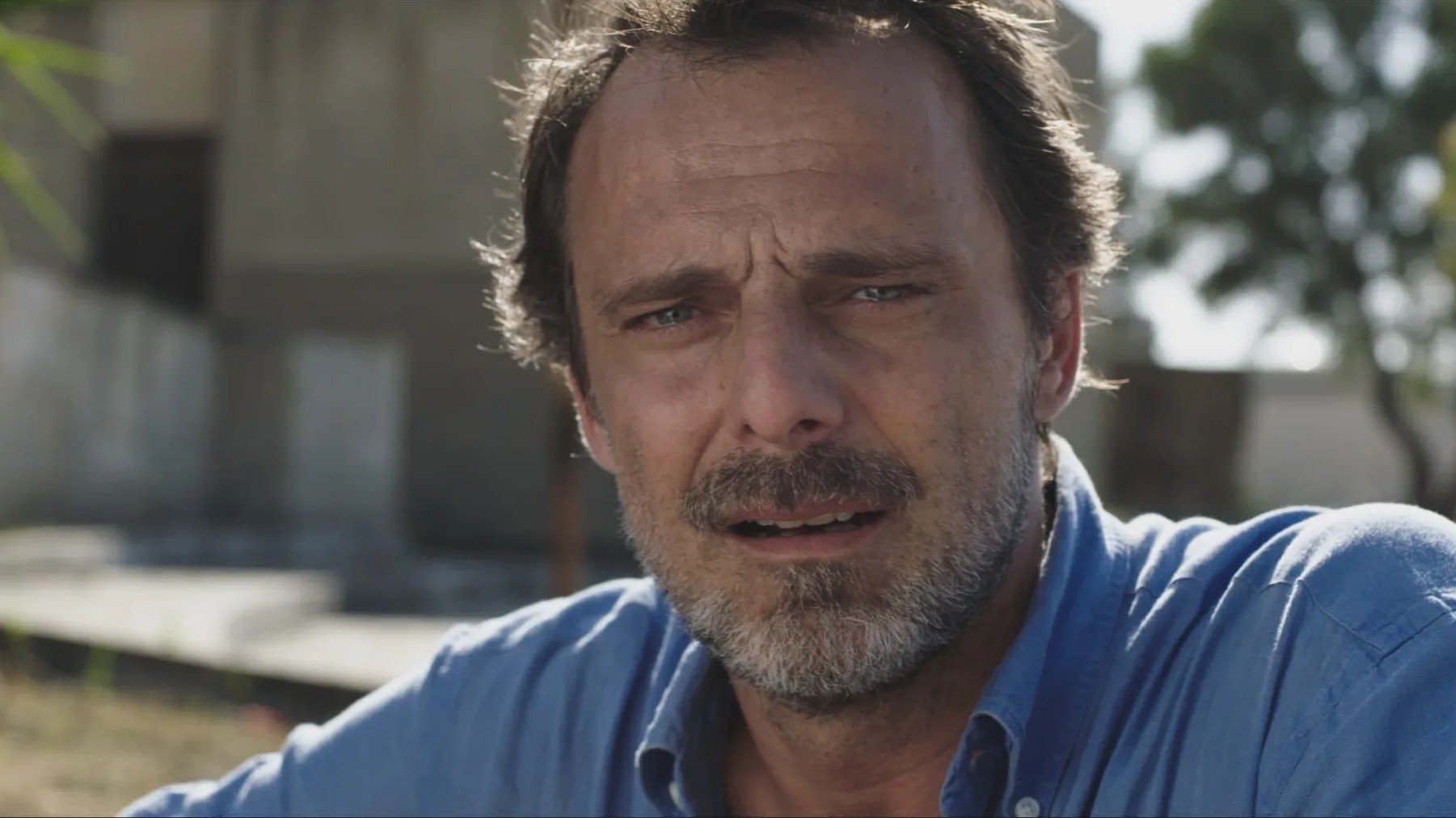 La legge del terremoto Background