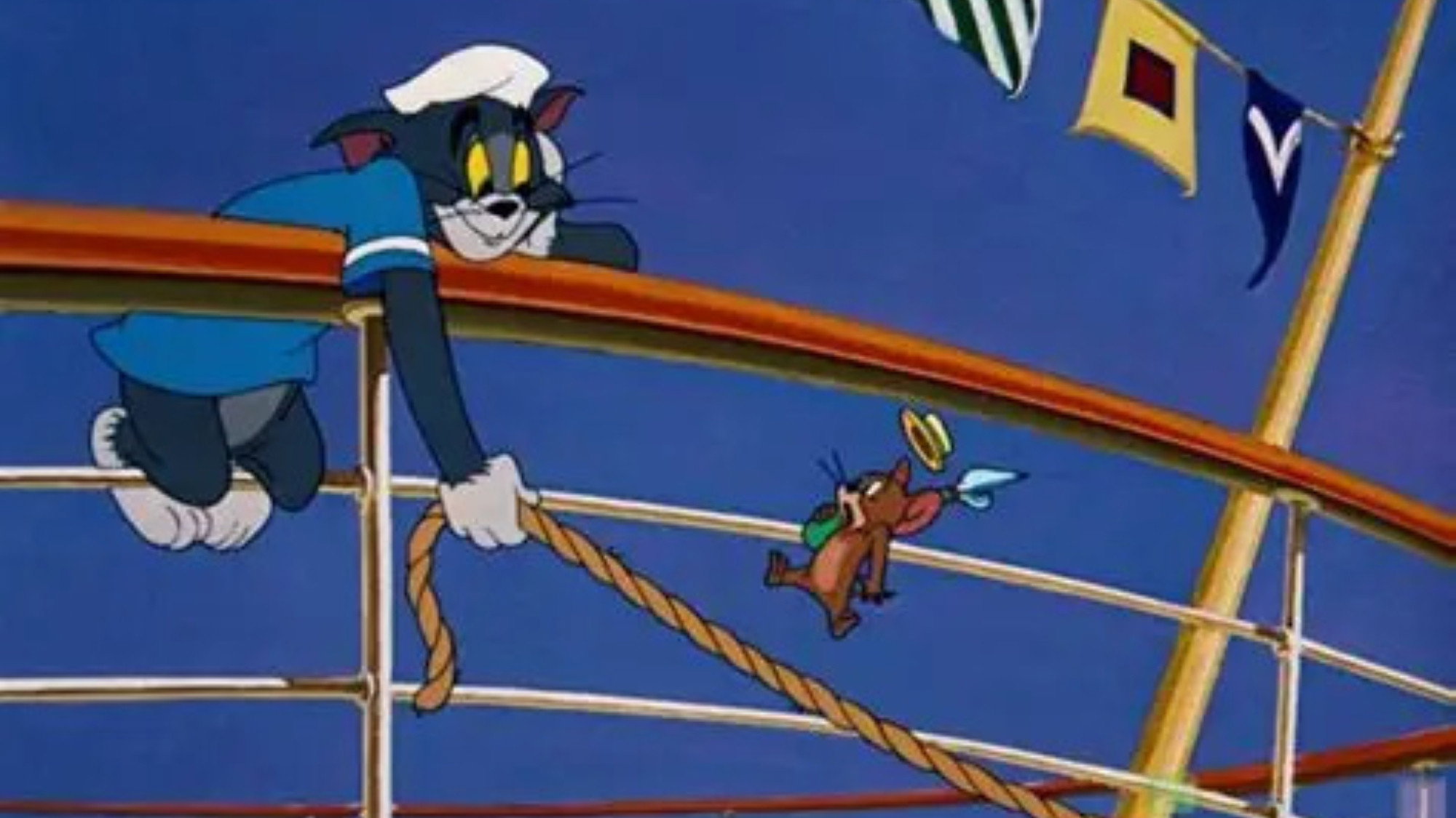 Cruise Cat Background