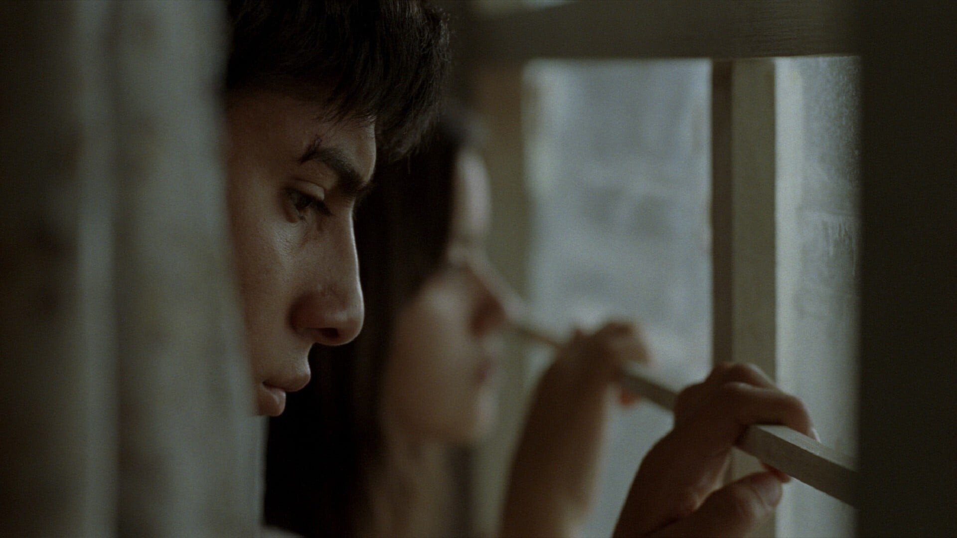 Somos lo que hay Background