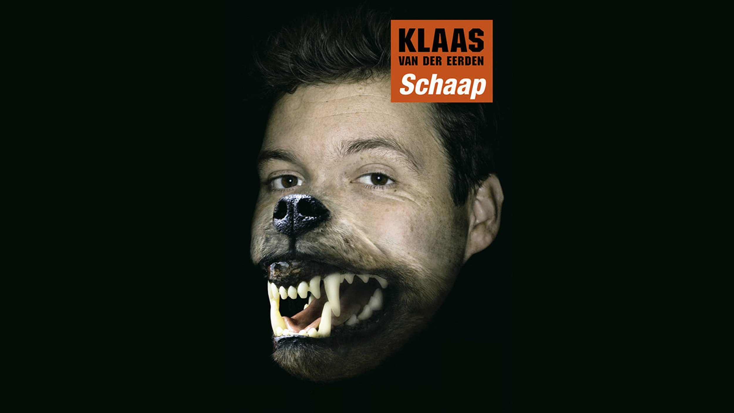 Klaas van der Eerden: Schaap Background