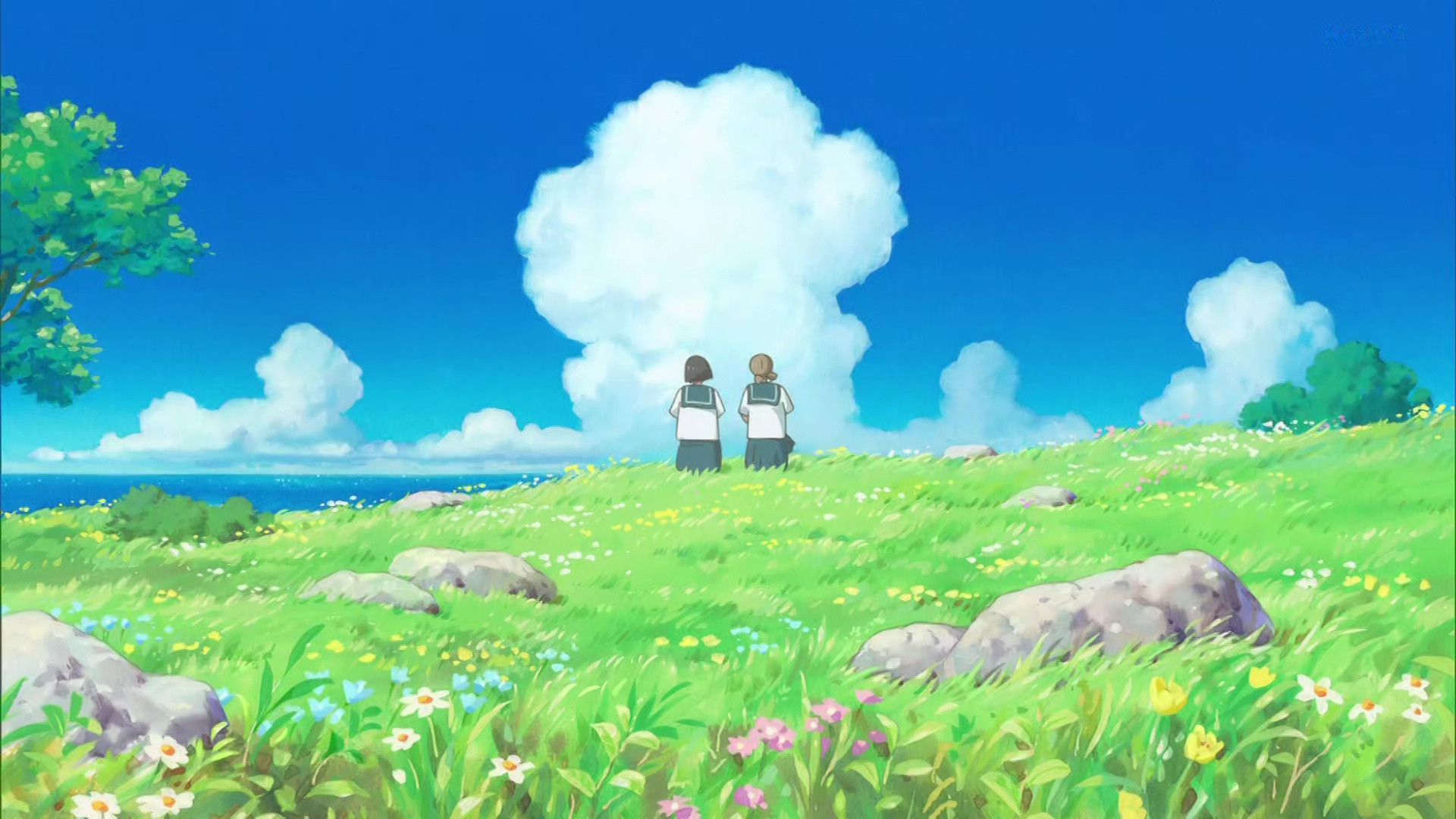 Cocoon: Aru Natsu no Shoujo-tachi yori Background