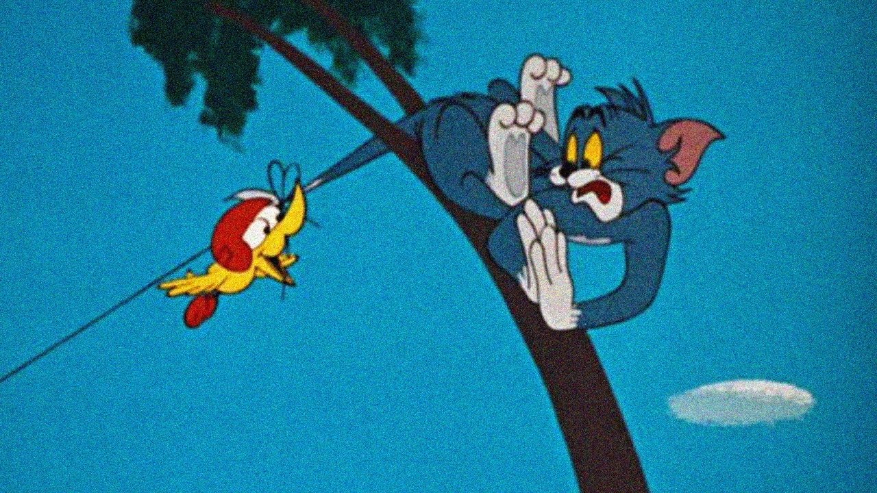 Landing Stripling Background