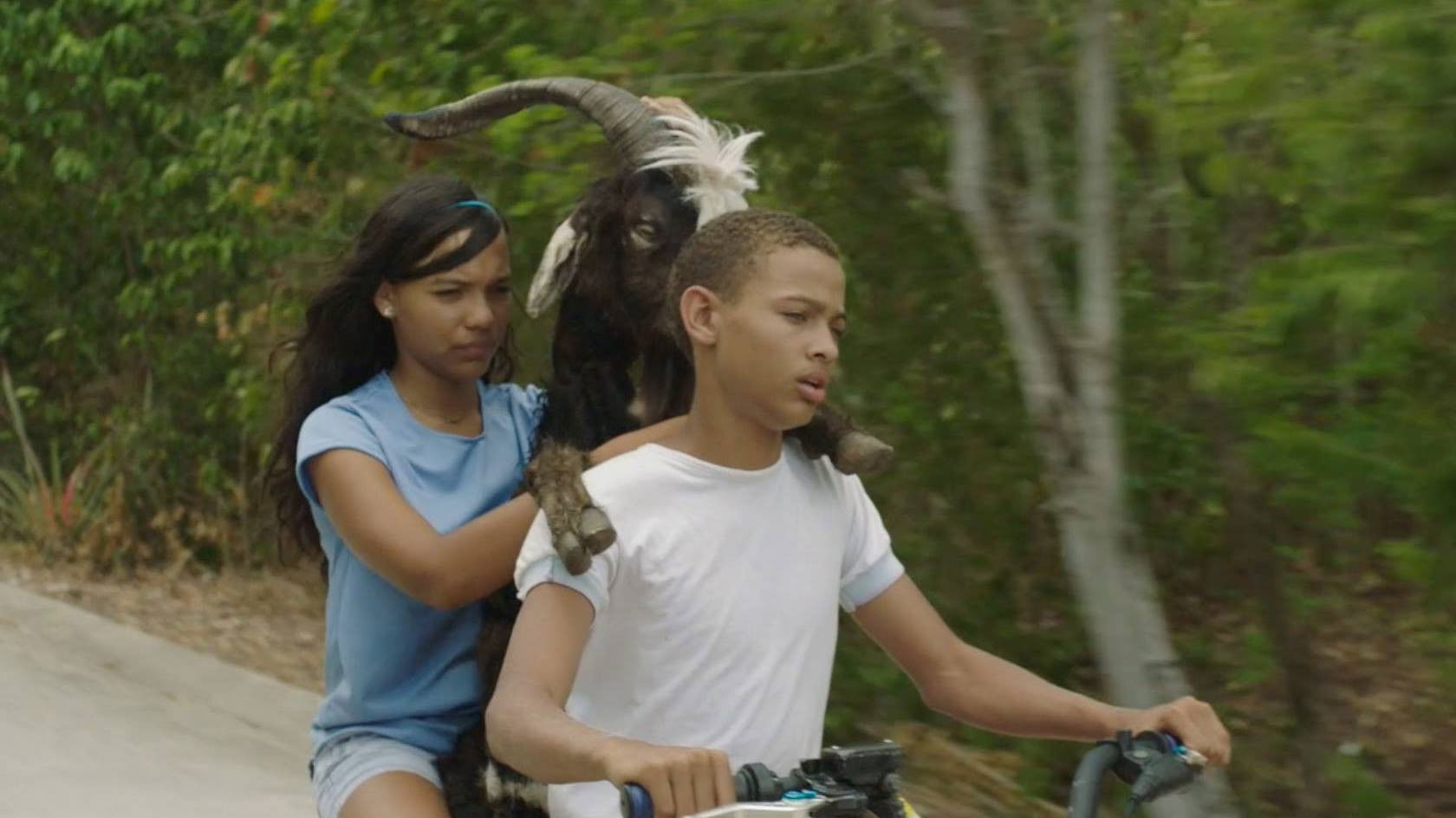 Bad Lucky Goat Background