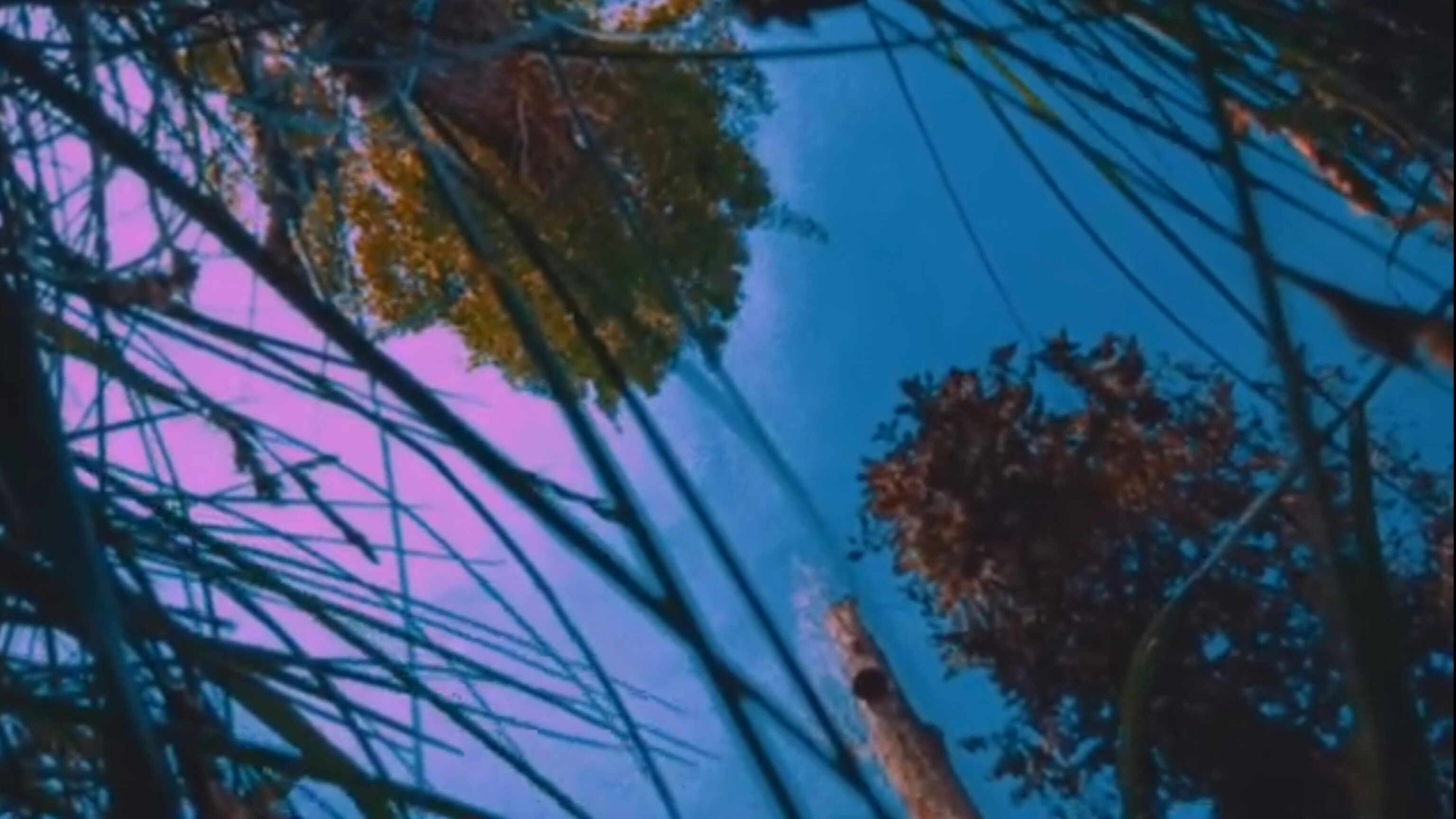 Nostalgia of Everything Background