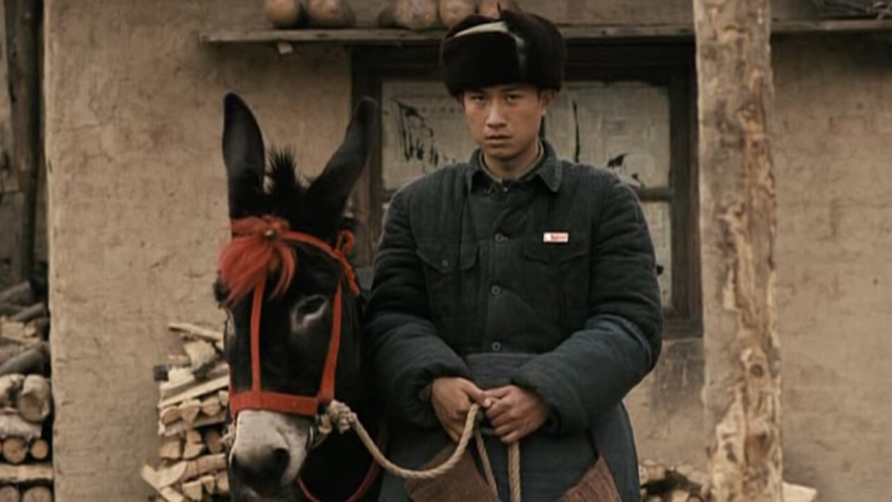 A Tale of Two Donkeys Background