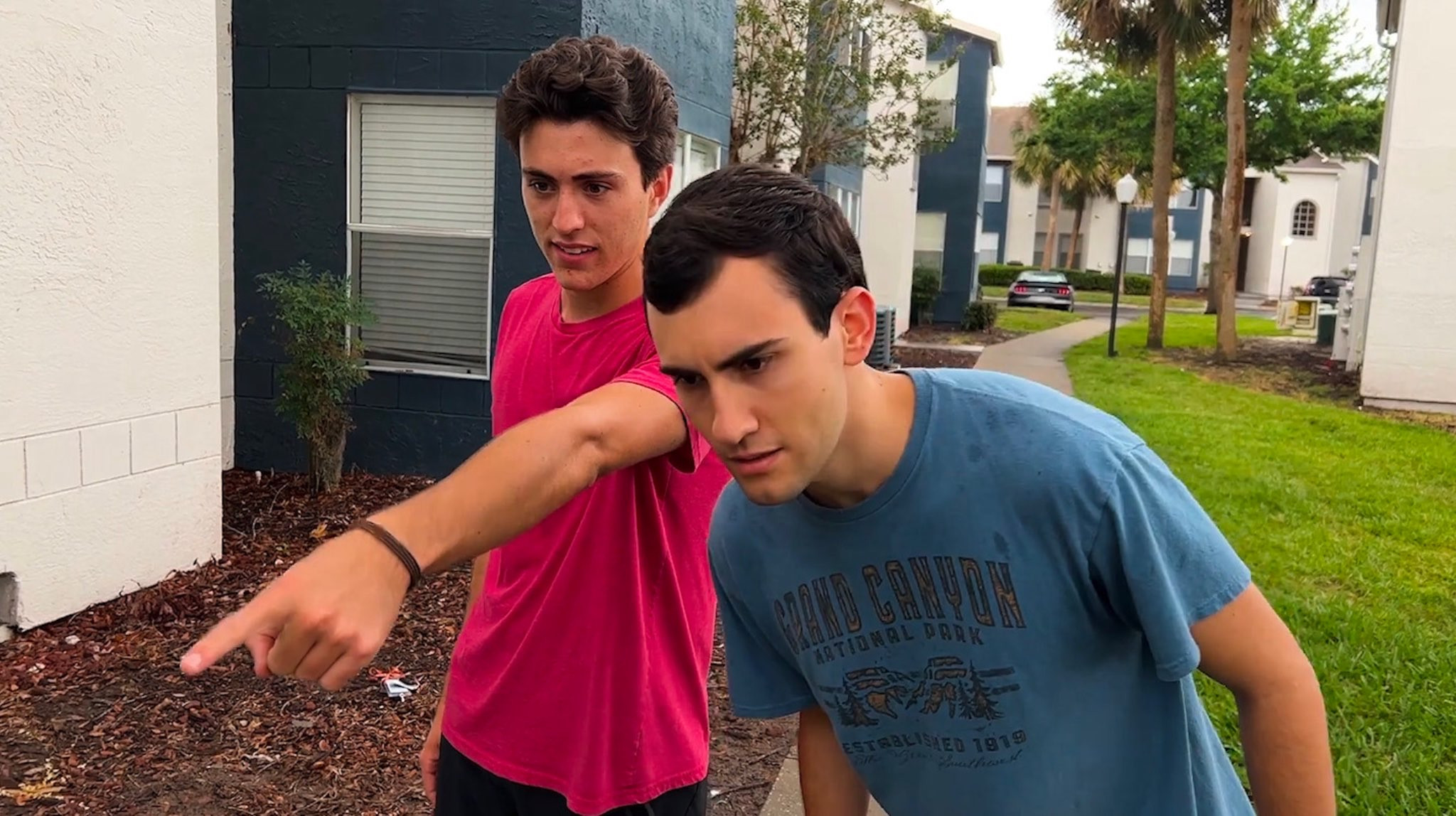 The Button Background