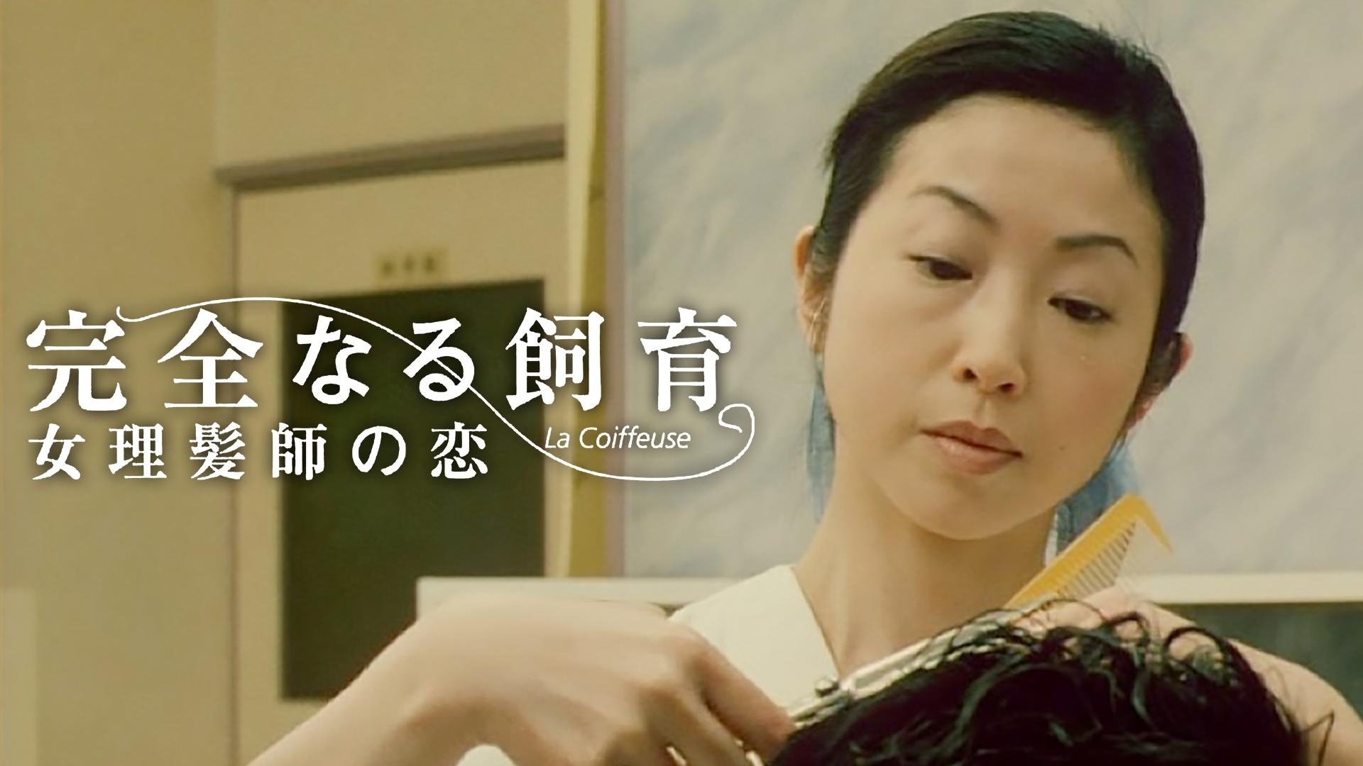 Perfect Education 5: Amazing Story Background