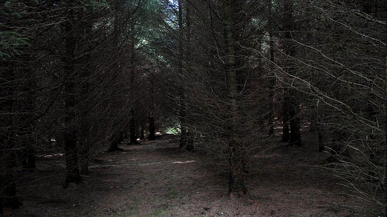 Dark Realm Background