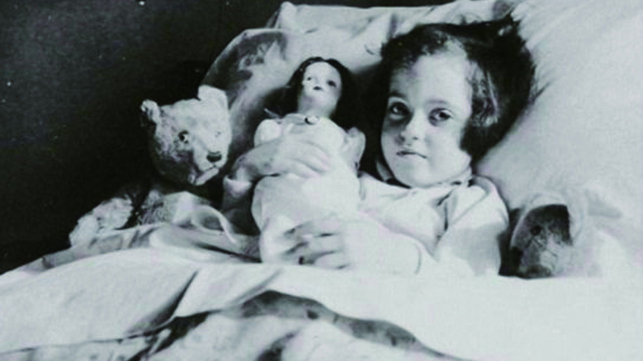 Ydessa, the Bears and etc. Background