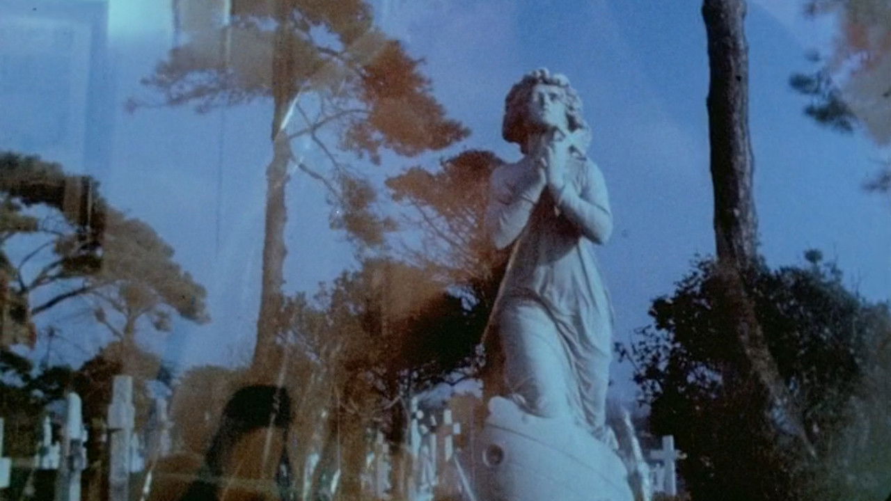 Marvo Movie Background