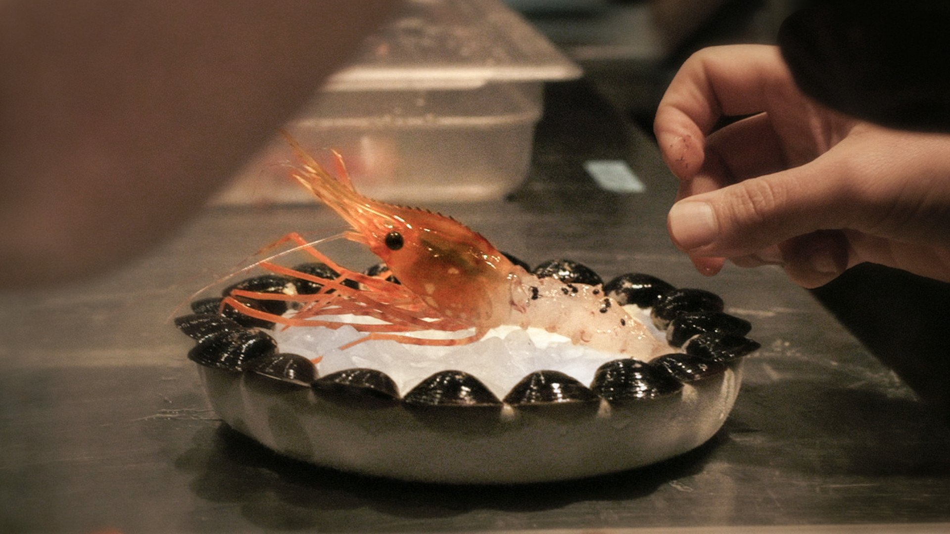 Ants on a Shrimp Background