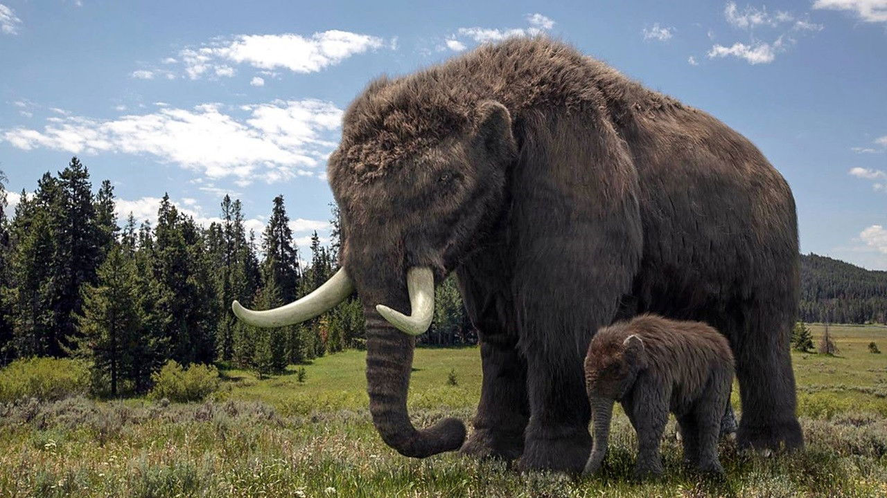 Ice Age Giants Background