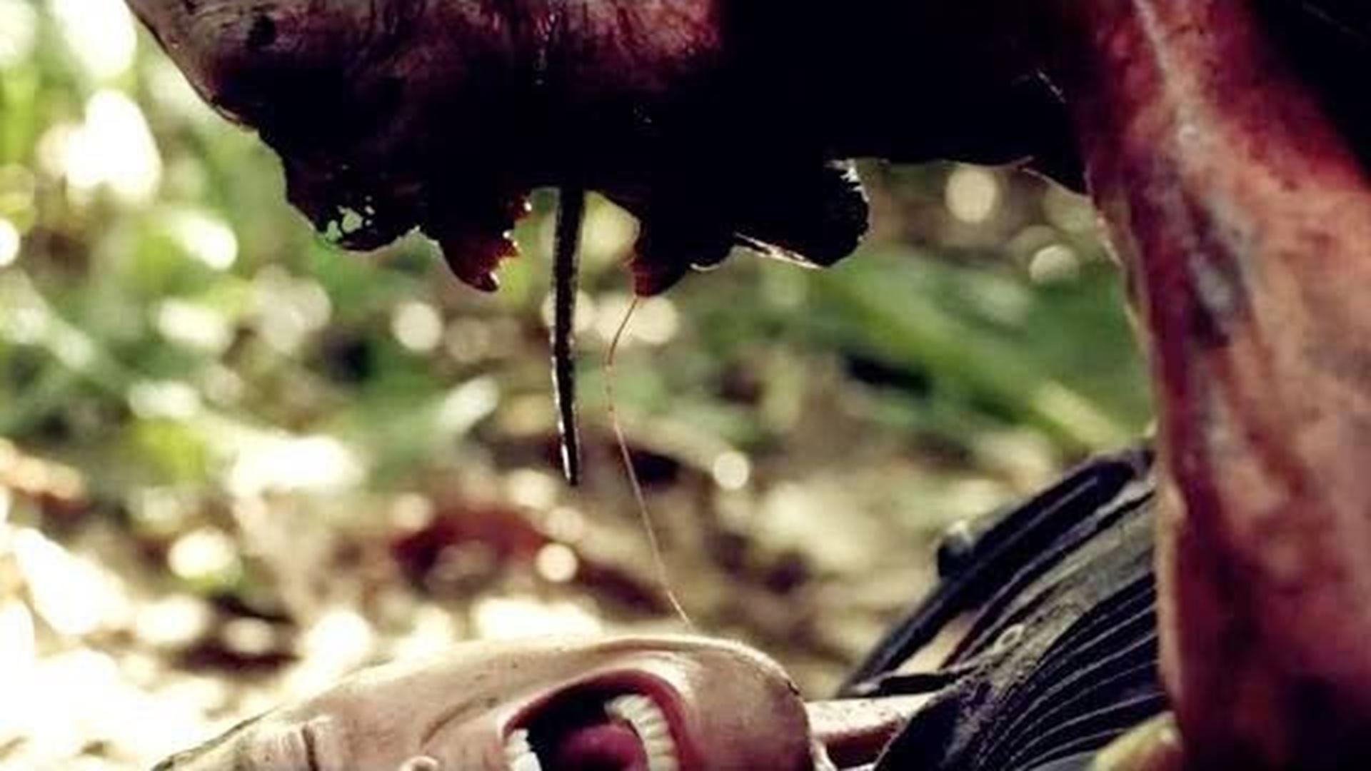 Indigenous Background