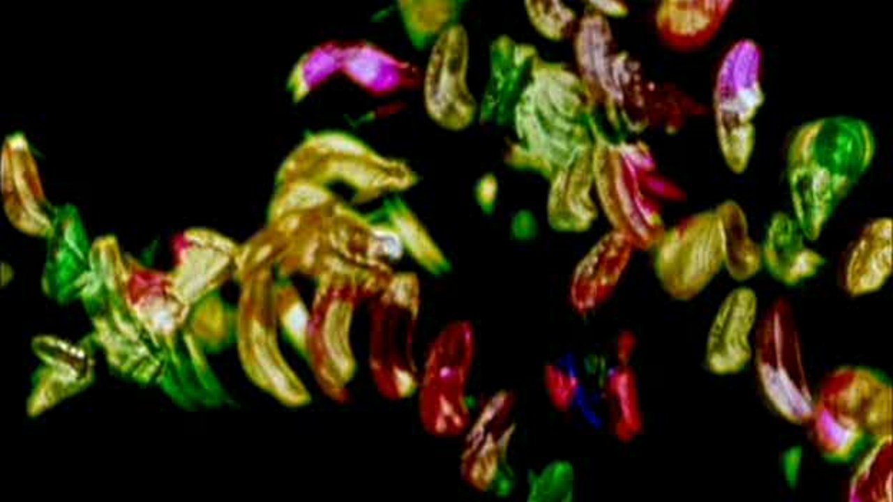 Glaze of Cathexis Background