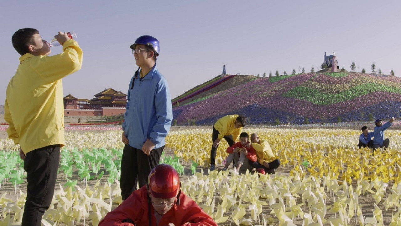 Dream Delivery Background