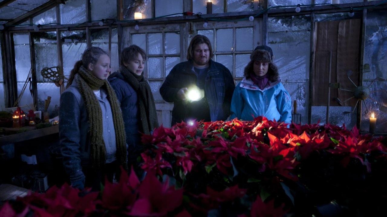 Julestjerner Background