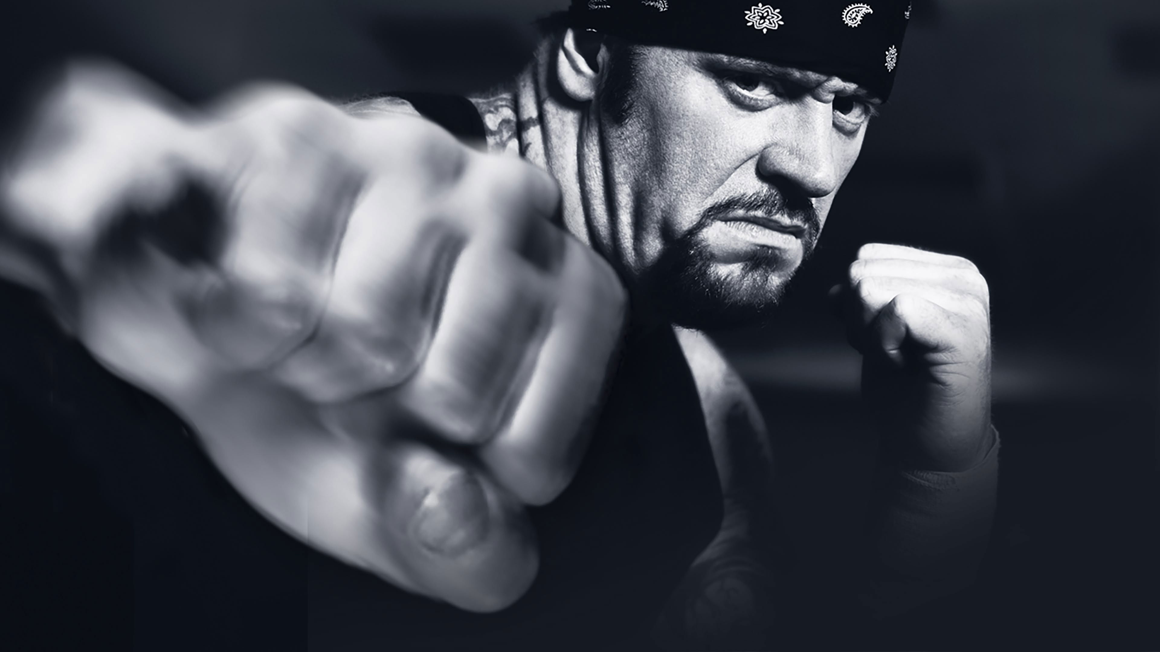 WWE Vengeance 2003 Background