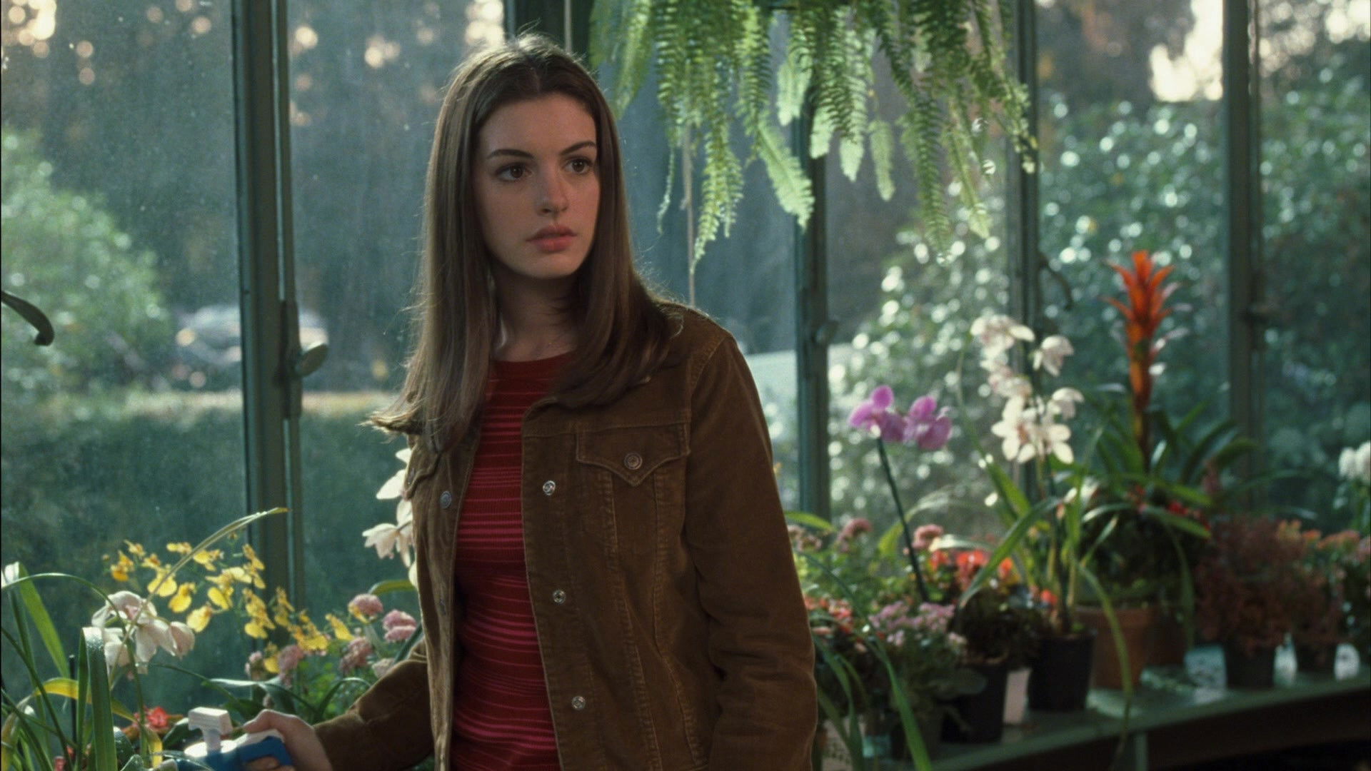 The Princess Diaries Background