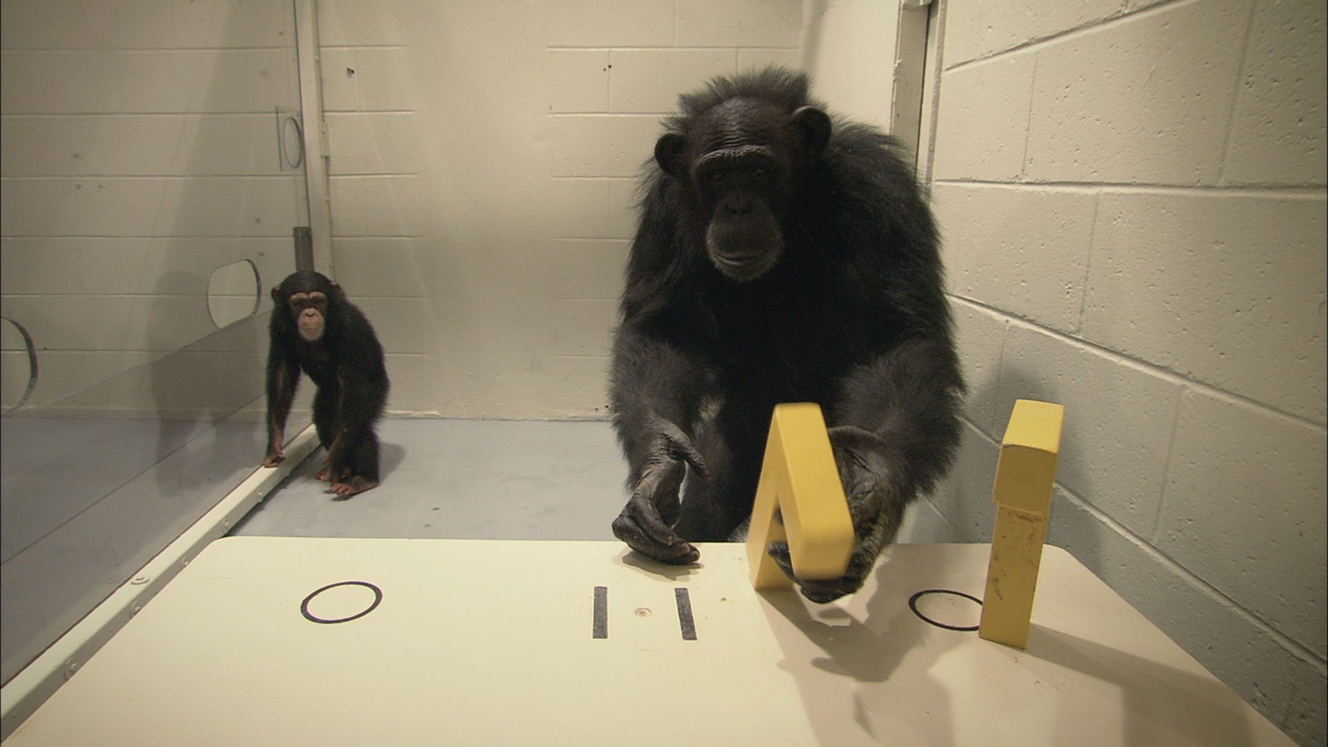 Surviving Progress Background