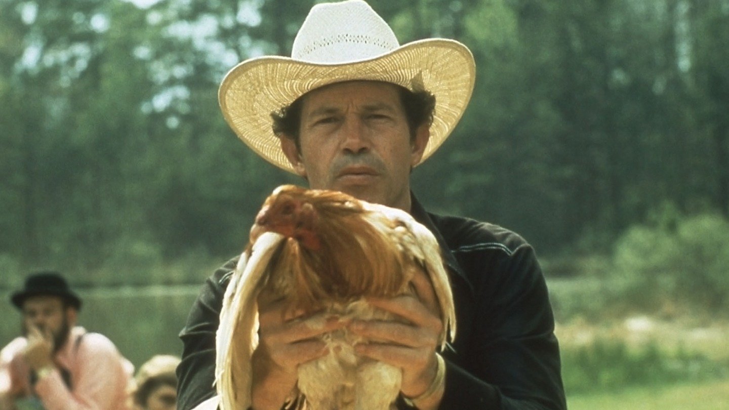 Cockfighter Background