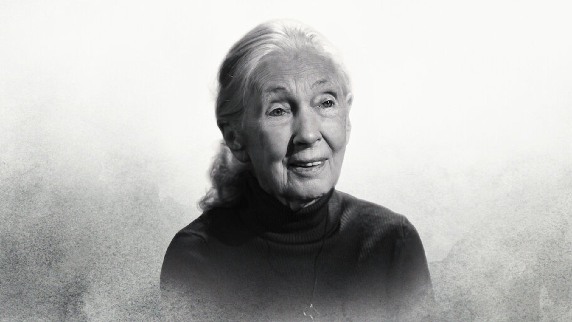 Famous Last Words: Dr. Jane Goodall Background
