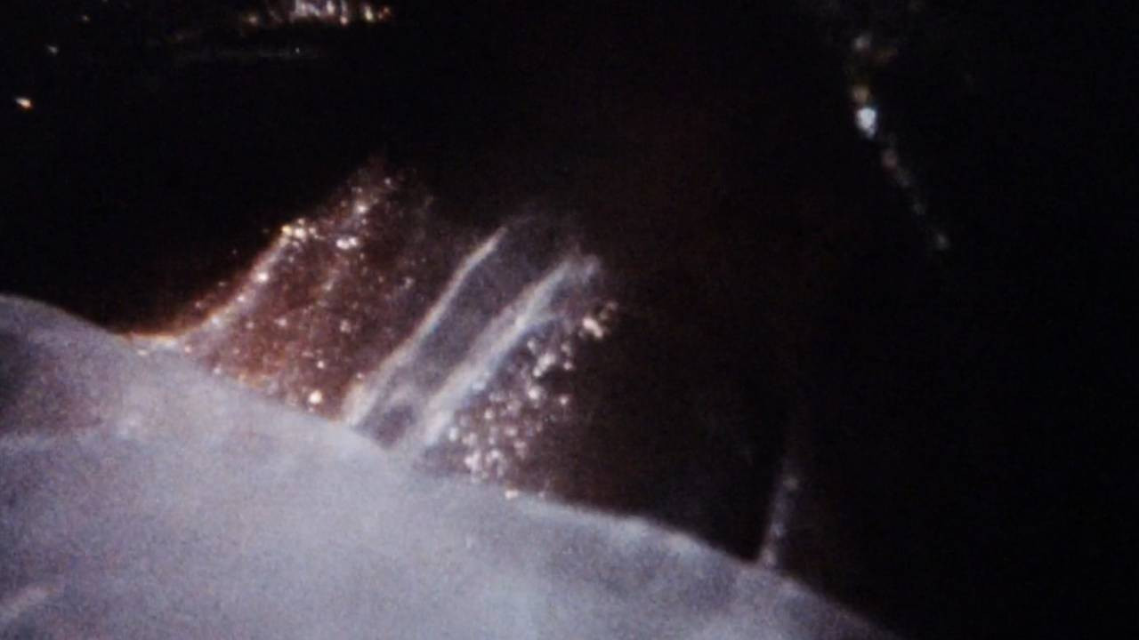 Maternal Filigree Background