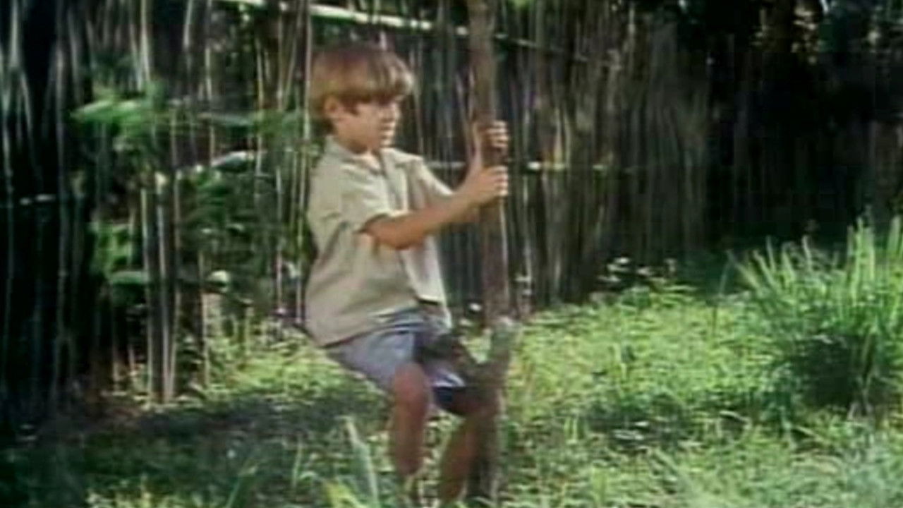 My Sweet Orange Tree Background