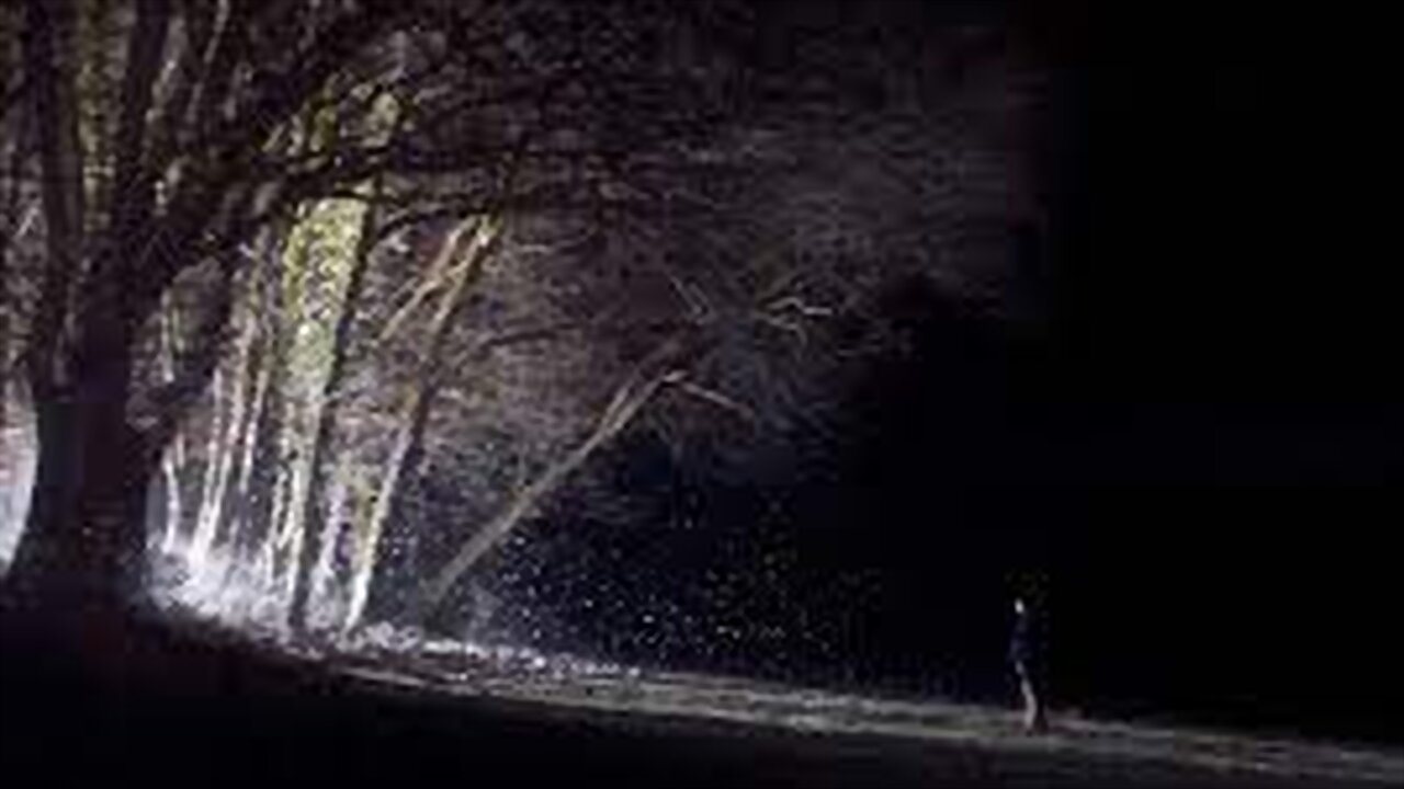 Particles Background