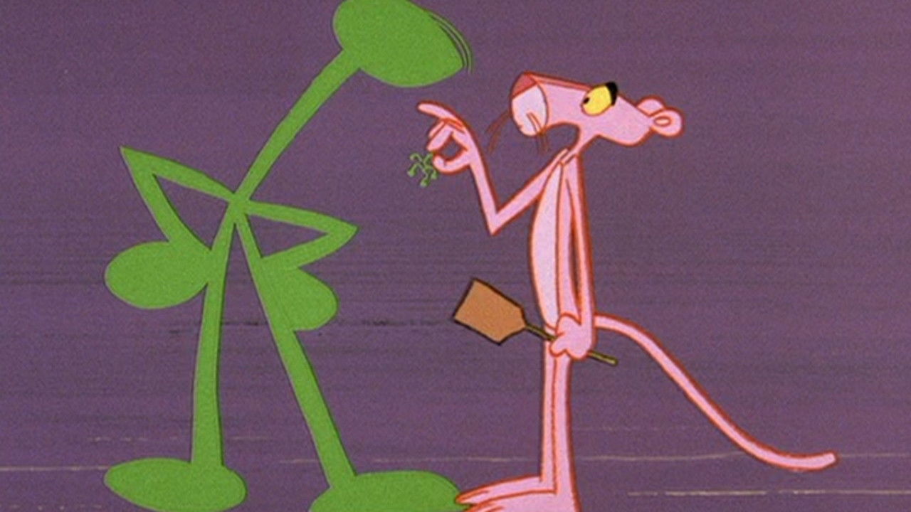 Pink Punch Background