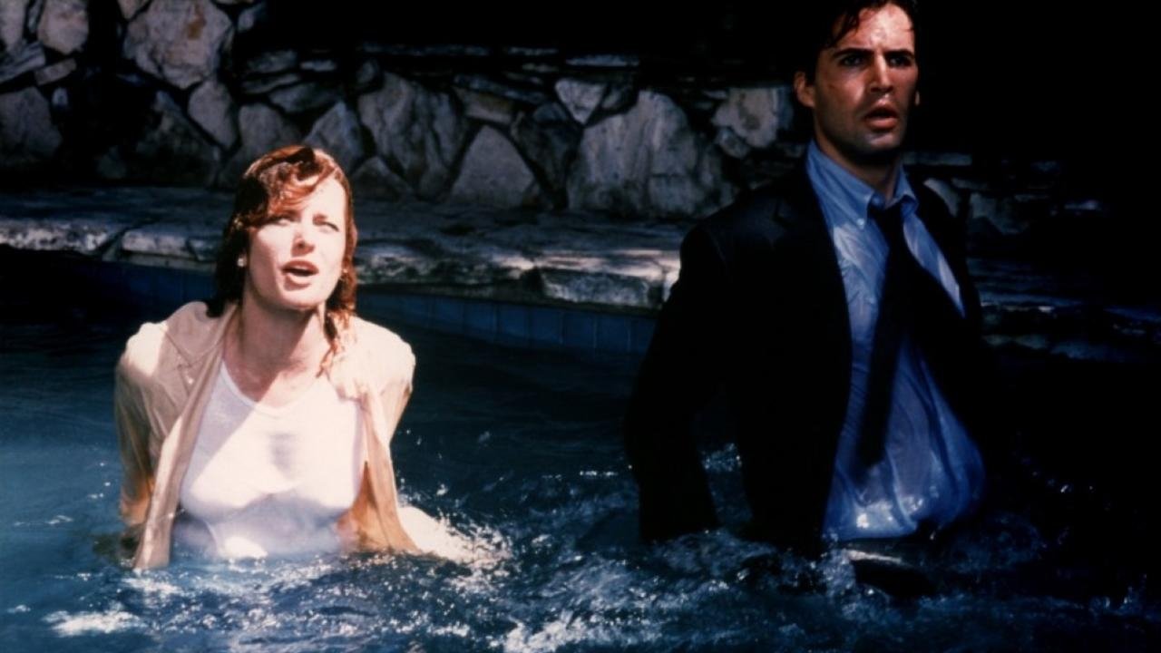 Susan's Plan Background