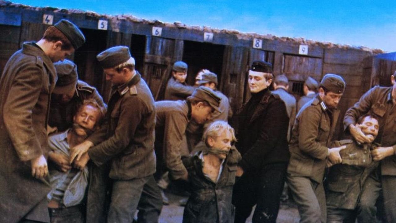 The Fifth Day of Peace Background