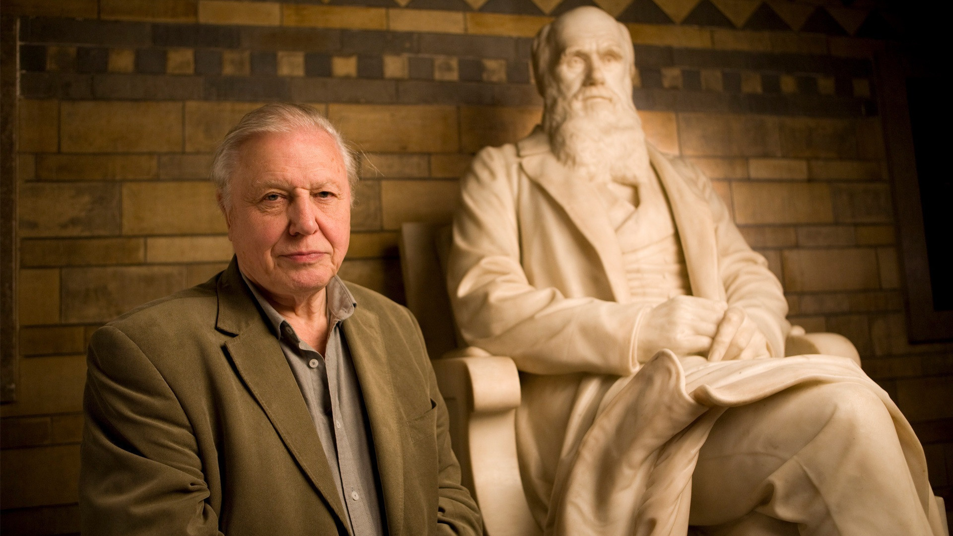 Charles Darwin and the Tree of Life Background