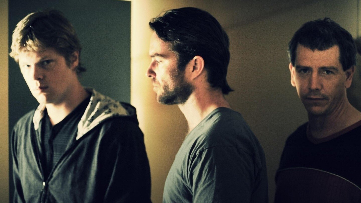 Animal Kingdom Background