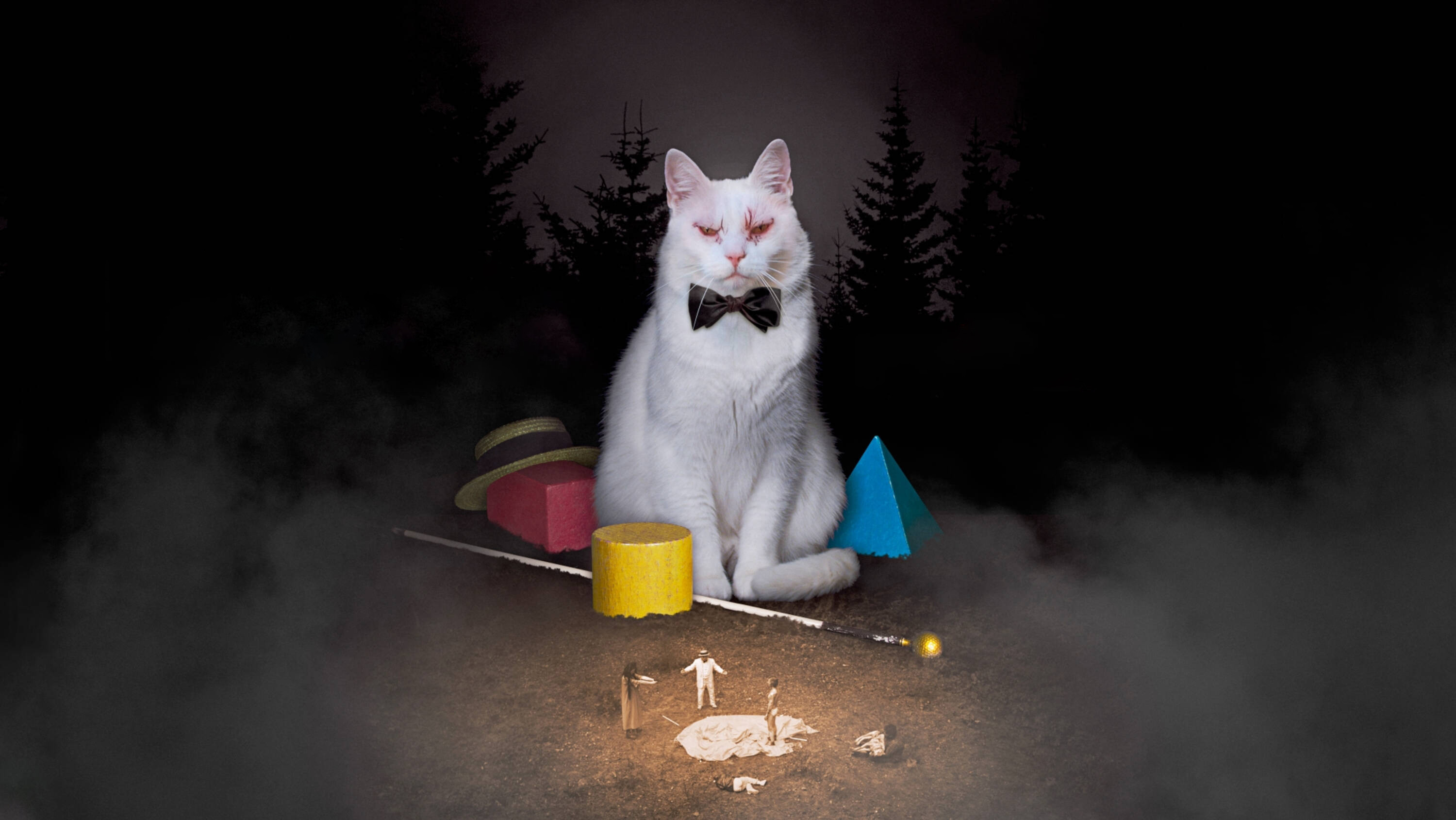 Koko-di Koko-da Background