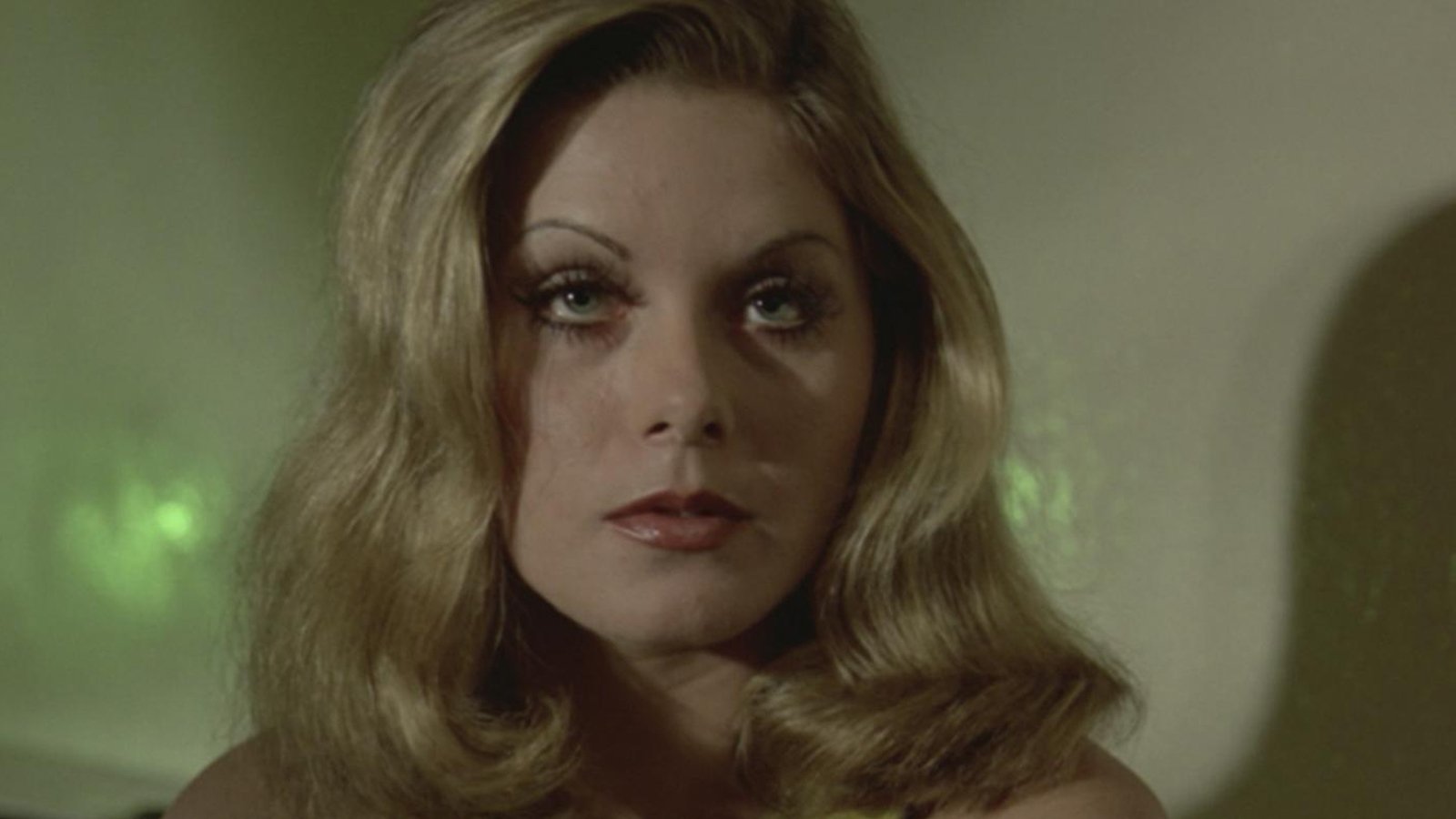 Anjo Loiro Background