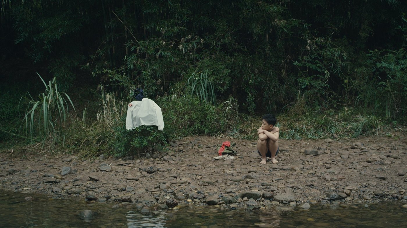 11 Flowers Background