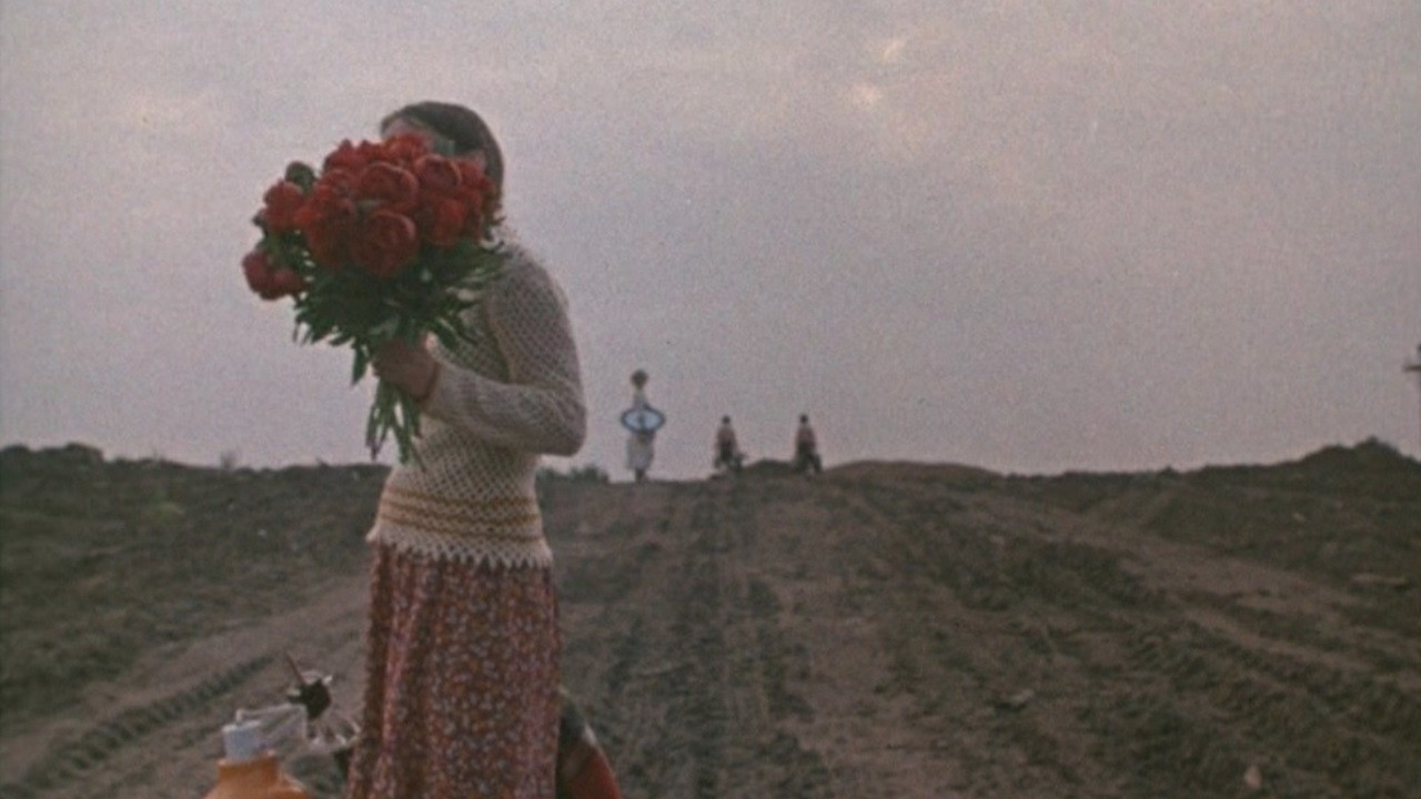 Getting to Know the Big Wide World Background