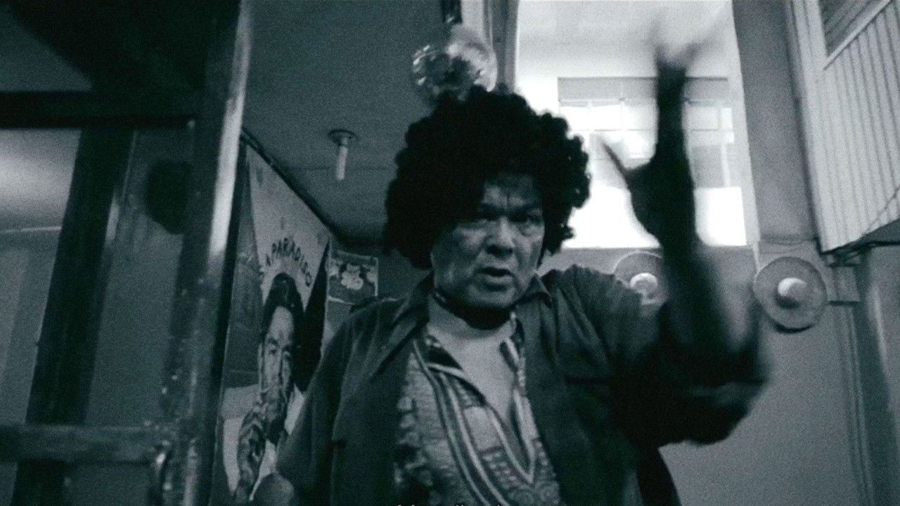 Bamboo Dogs Background